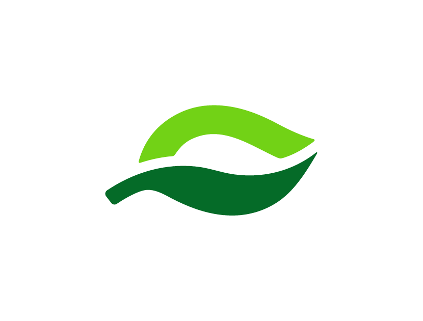 Key icon